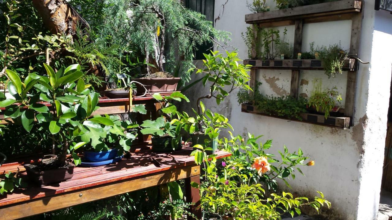 Casa Coimbra Hotell Eksteriør bilde