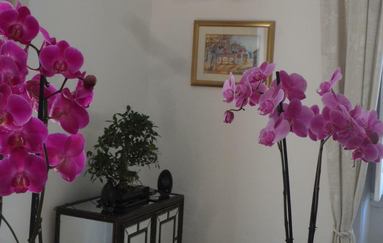 Casa Coimbra Hotell Eksteriør bilde
